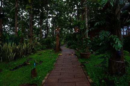 path in the resort