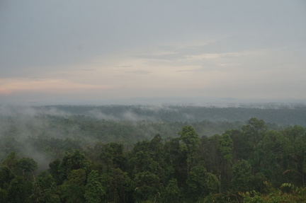 The view after the rain