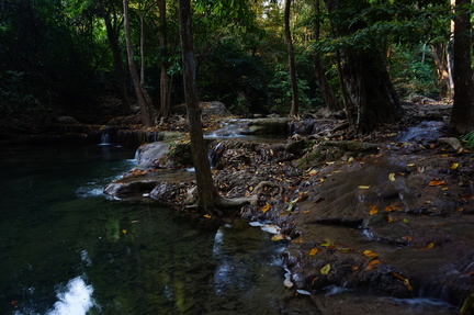 nature