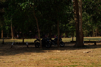 Bikes in the shade