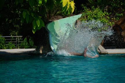 big splash