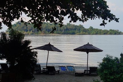 Beach in the morning