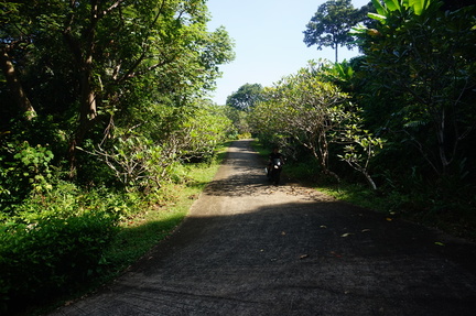Jo coming down a steep hill