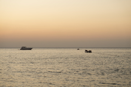 Avalon anchored of the coast