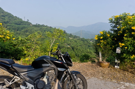 view