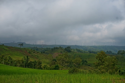 Landscape shot