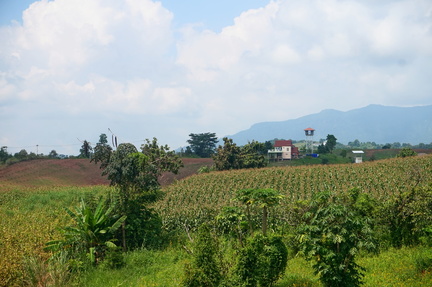 House and it's farm