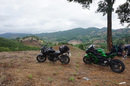Bikes with a view