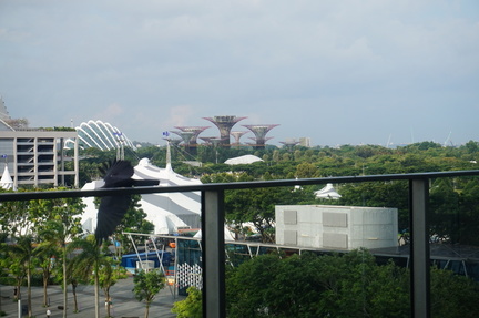 Gardens by the bay from the pool