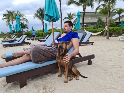 Beach dog at Khao Lak