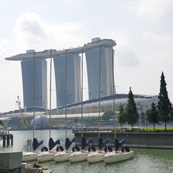 6th/7th Day (more embassy visits)