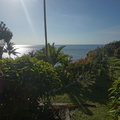 DSC02855