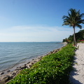 DSC02856