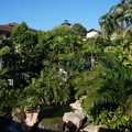 DSC02862