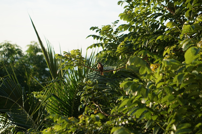 DSC02865.JPG
