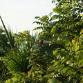 DSC02865