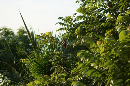 DSC02865