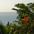 DSC02866