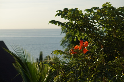 DSC02866