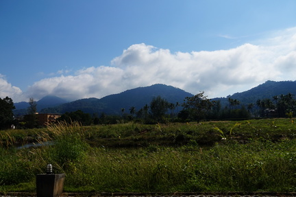 Mountains and fields