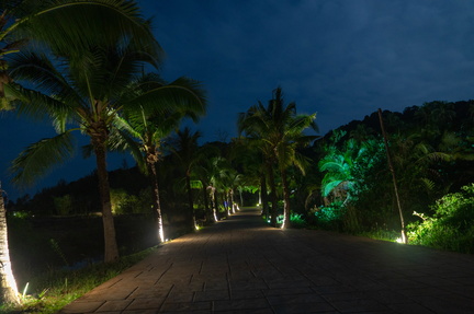 pathway