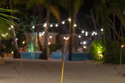 tiki torch