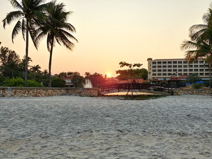 20210311 180855 HDR~2