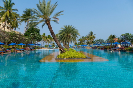 trees in the middle of the pool