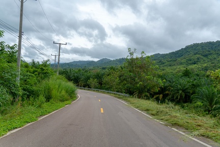 road views