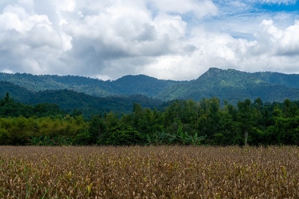Saraburi View and Waterfall-82