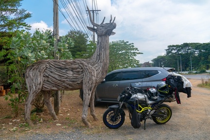 Bike and a deer