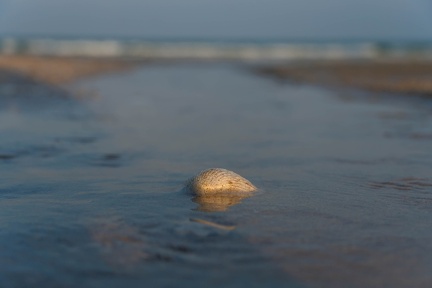 Chumphon-79