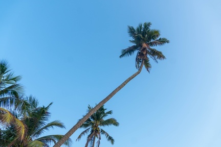 Krabi-23