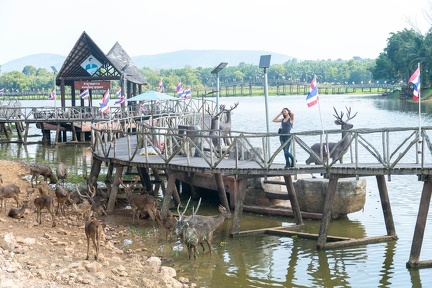 Krabi-33