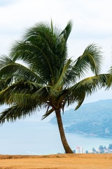 Phuket Auchalong-44