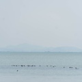Saraburi Trip (37)