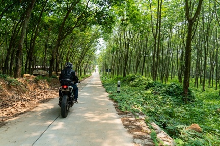 Chonburi Dirt Road-52