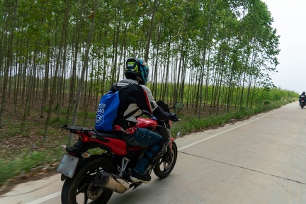 Chonburi Dirt Road-59