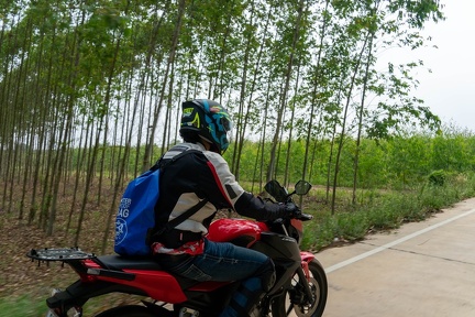 Chonburi Dirt Road-60