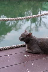 Koh Chang Trip-274