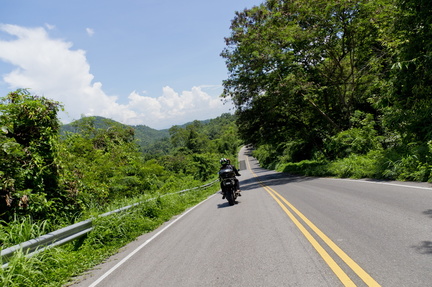 beautiful green view with motorcycle