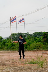 Thailand flags