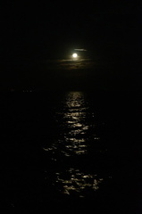 moon rise