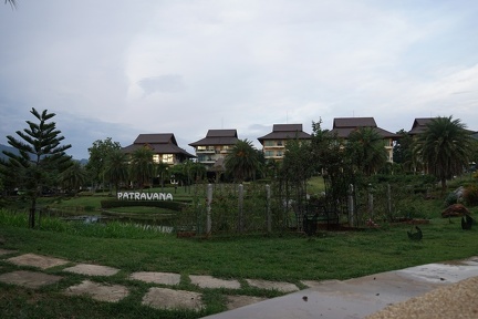 DSC06069