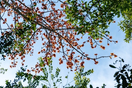 Khao Yai Day Trip-15