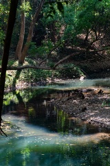 Khao Yai Day Trip-19