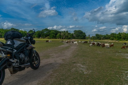 Khao Kho with Kwang Day 3-95