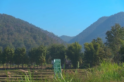 DSC06009