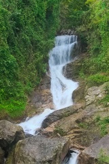DSC06098