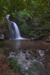 DSC06118